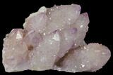 Cactus Quartz (Amethyst) Crystal Cluster - South Africa #132517-1
